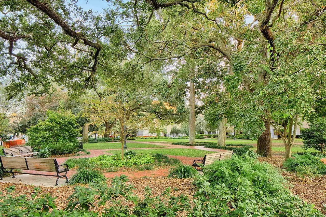 Best View On Broughton Savannah